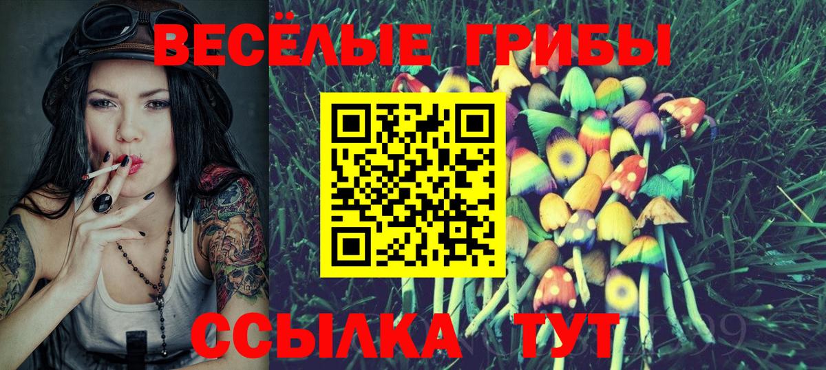 Галлюциногенные грибы мицелий Карпинск